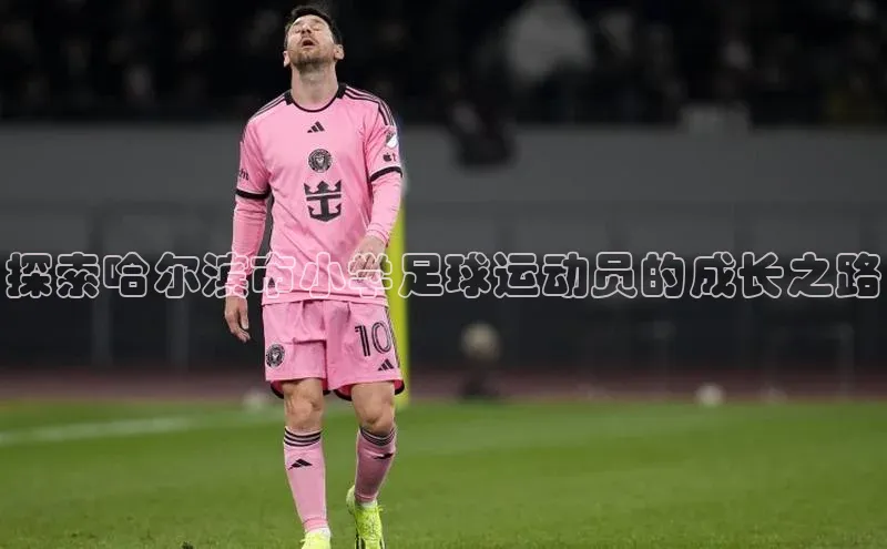 球盟会app官方下载挪威主权基金