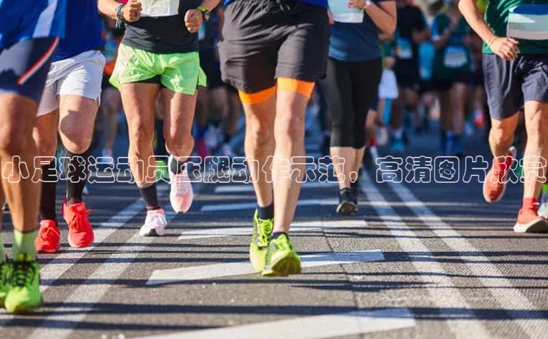 qmh球盟会轻美电器