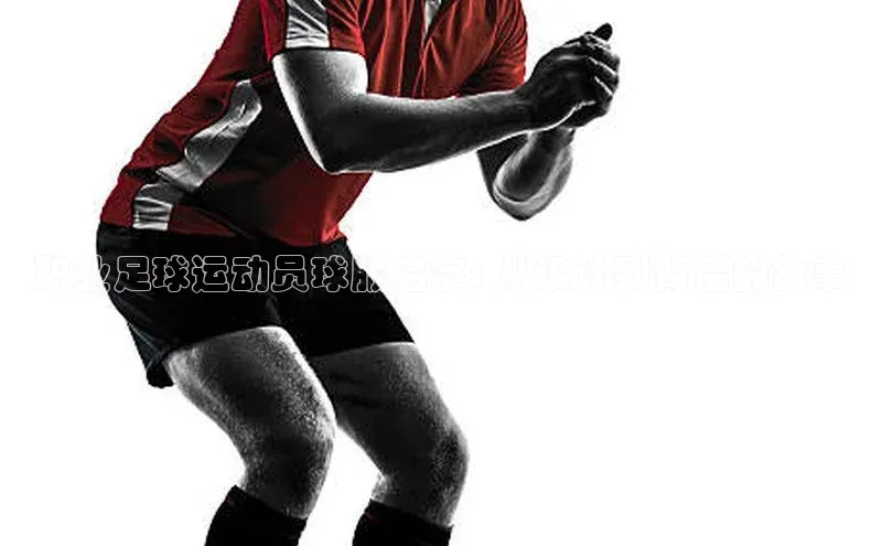 qm球盟会官方网站观星盘