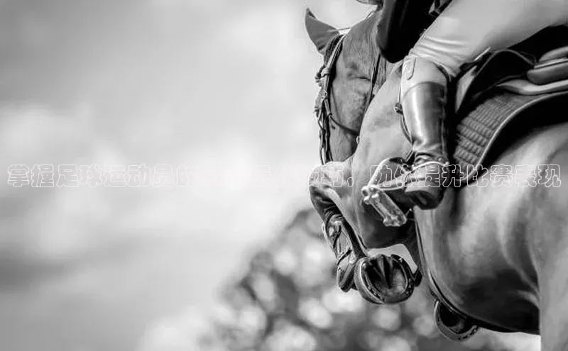 球盟会登录网址百度数据开放平台