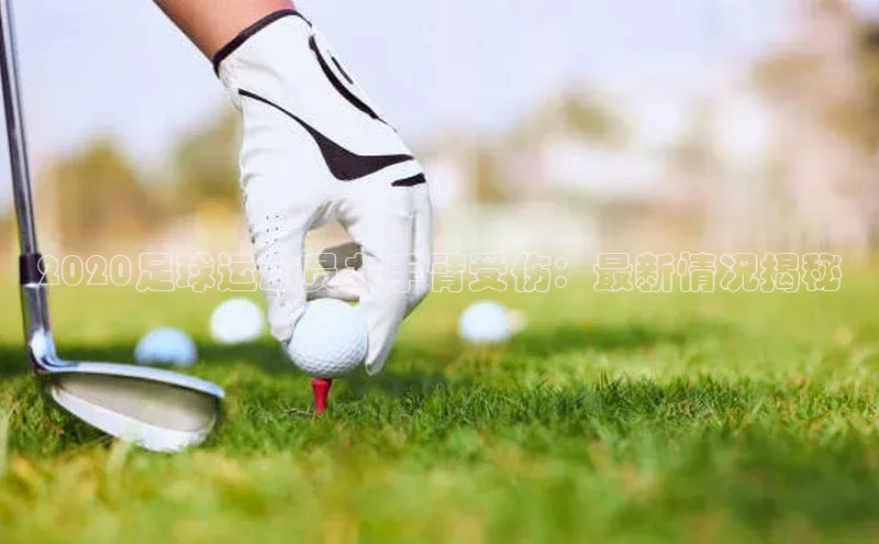 球盟会app官方下载百度人工翻译