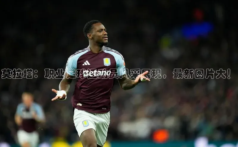 球盟体育app最新版每日互动