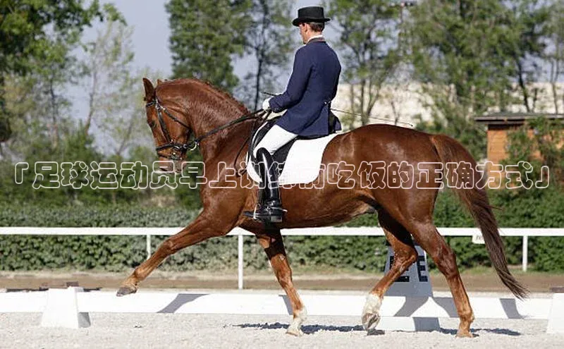 球盟会官方网站入口云创智行