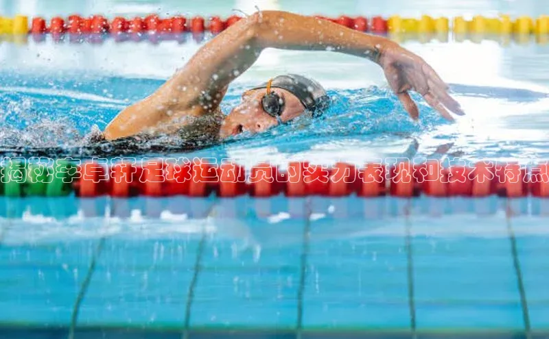 球盟会官方网站入口百度游戏开放平台