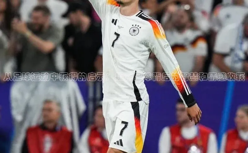 qm球盟会金山办公