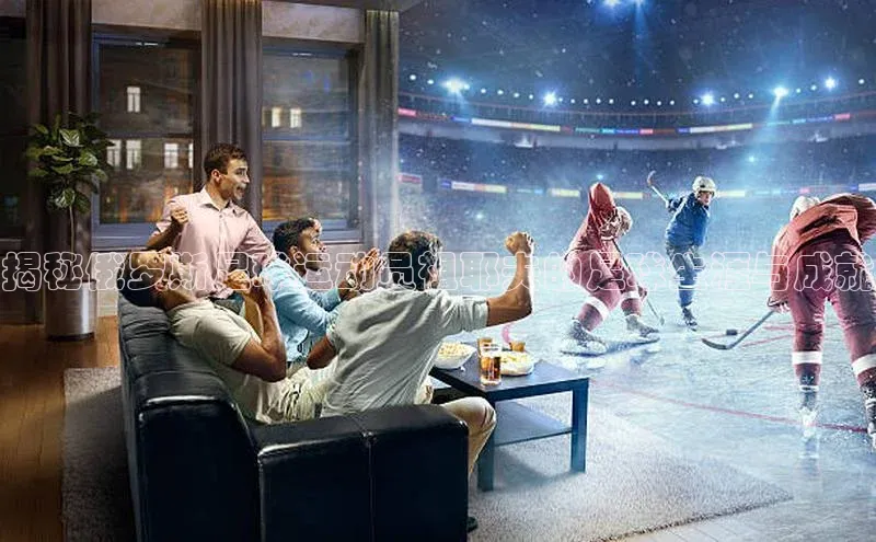 球盟会官网入口ARGA公司