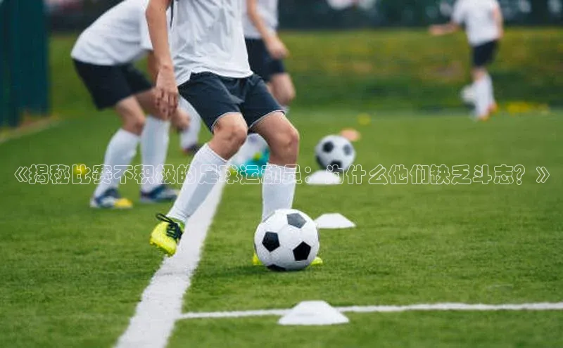 球盟会官方网页登录路畅科技