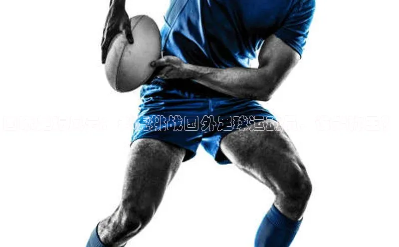 球盟会官方app首页入口华扬联众