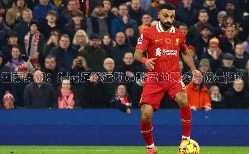 球盟会app入口百度教育