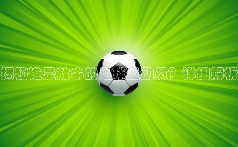 球盟体育app最新版文心一言