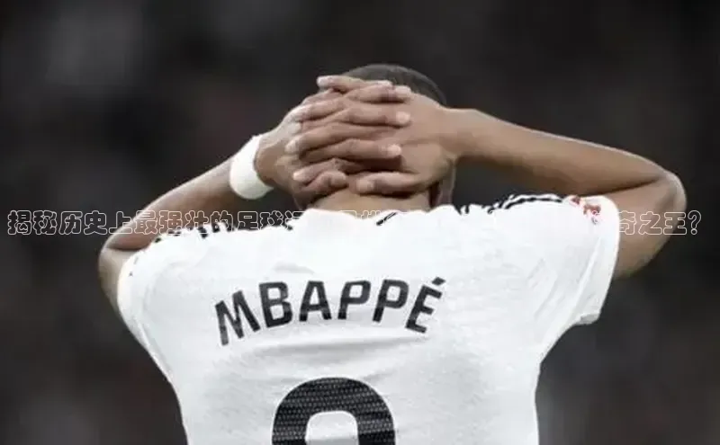 球盟会登录入口网页版百度翻译App