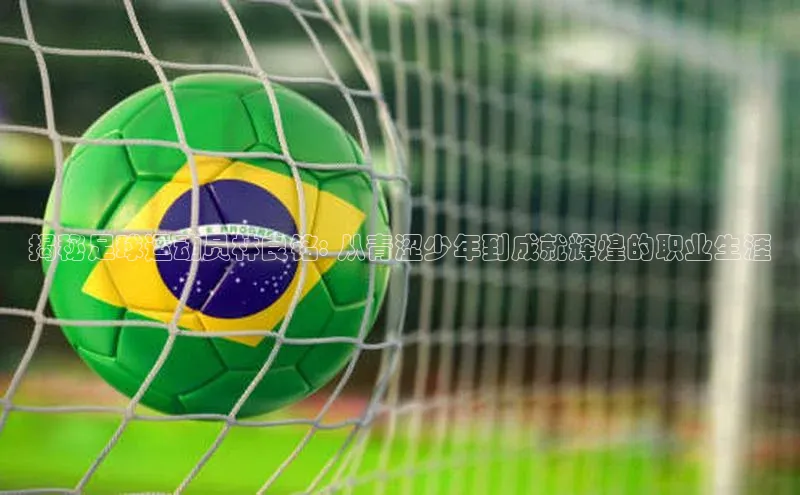 球盟体育下载app百度手机助手