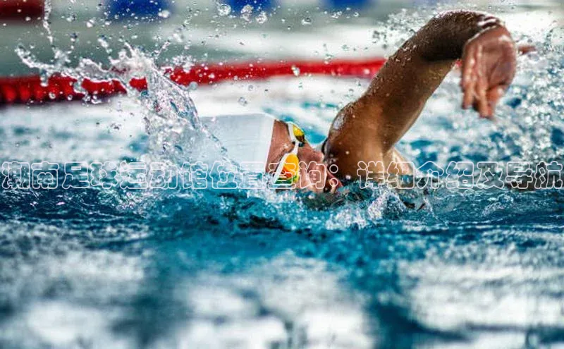 qmh球盟会轻美电器