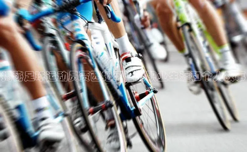 球盟会官方网站入口汉得信息