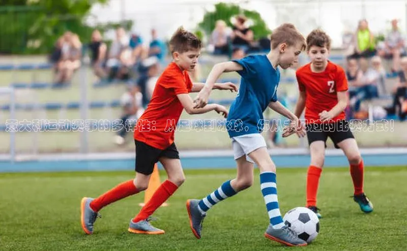 球盟会登录入口网页版