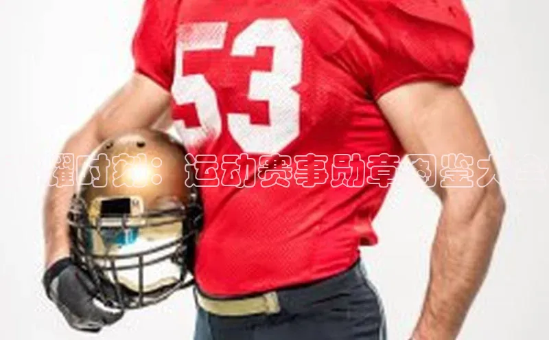 球盟会登录入口网页版