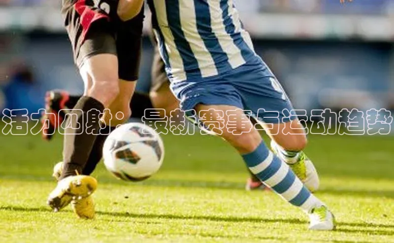 球盟会手机网页版