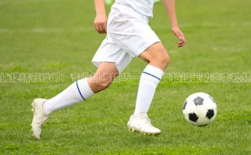 球盟会官方网站入口