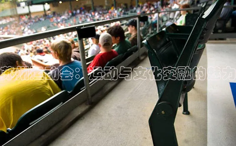 球盟会官方登录平台入口