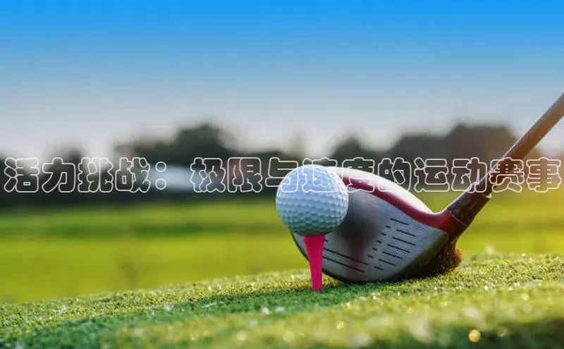 球盟会官方网入口